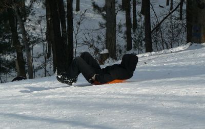 Man on tree trunk during winter