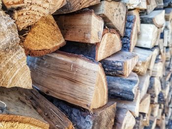 Stack of logs in forest