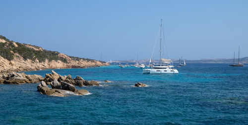 Sailboats on sea against clear blue sky
