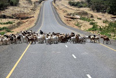 People walking on road