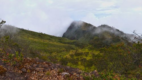 wilderness