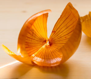 Close-up of bread in plate on table