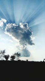 Low angle view of silhouette trees against sky