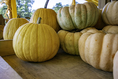 Assorted pumpkins available at a produce stand in the fall.