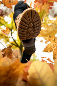 Woman foot in boots, walking on autumn leaves. bottom-up view of a shoe stepping on leaves.