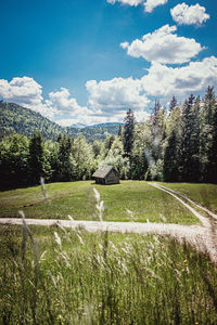 Scenic view of grassy field against sky