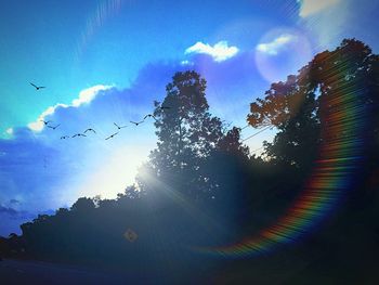 Low angle view of silhouette birds flying against sky