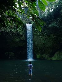 Rear view of man standing by waterfall in forest