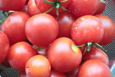 Full frame shot of tomatoes