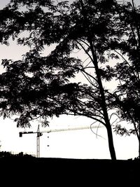 Low angle view of silhouette tree against clear sky