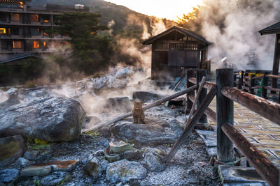 Brown tabby cat or kitten at mount unzen jigoku and hot springs at sunset with gas, nagasaki, japan.