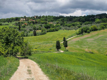 Scenic view of agricultural field against sky