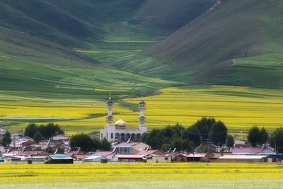 Scenic view of agricultural field against buildings