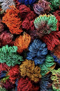 A full frame of colourful dried corals