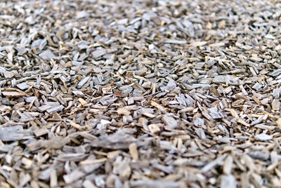 Full frame shot of wood chips on floor