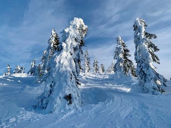 Panoramic view of snow covered landscape against sky