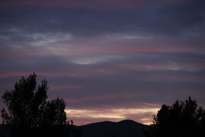 Silhouette trees against sky at night