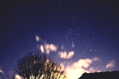 Low angle view of trees against sky at night