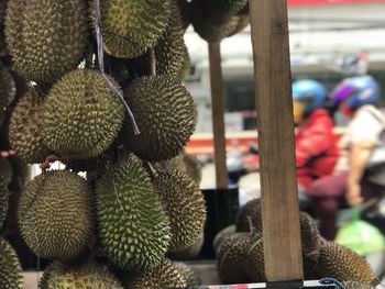 Hanging durian fruit