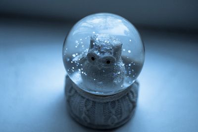 Snow ball with an owl inside 