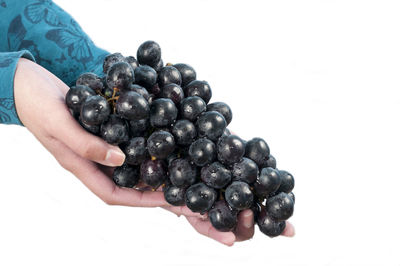 Close-up of hand holding berries