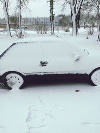 View of snow covered landscape