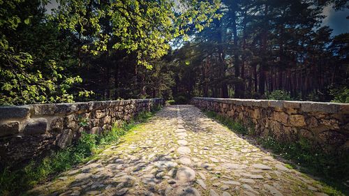 Empty road amidst trees on field during sunny day