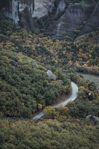 High angle view of road amidst trees