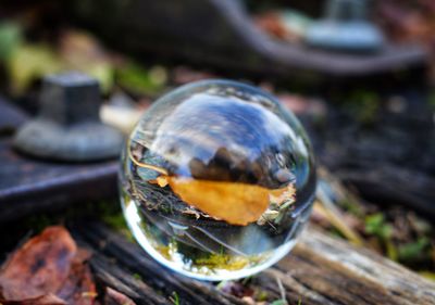 Close-up of crystal ball on wood