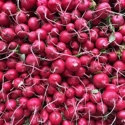 Full frame shot of red radishes in market for sale