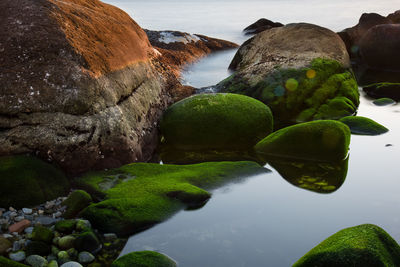 Close-up of rocks at sea shore