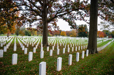 View of cemetery