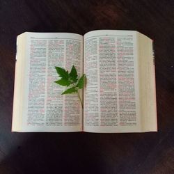 High angle view of open book on table