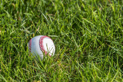 Close-up of baseball on grassy field