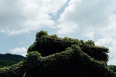 Low angle view of trees against cloudy sky