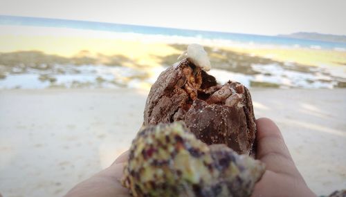 Close-up of hand holding leaf at beach against sky