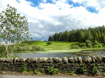 Scenic view of farm against sky