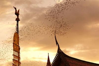 Low angle view of birds flying against sky