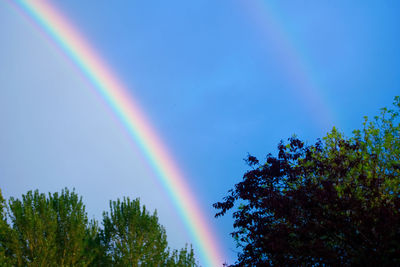 Low angle view of rainbow over trees against sky