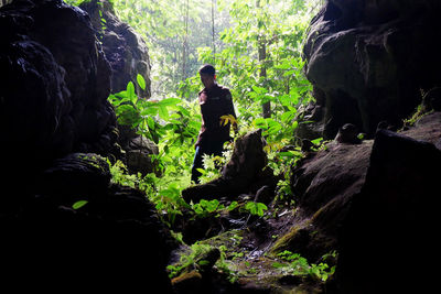 Rock formation amidst trees in forest