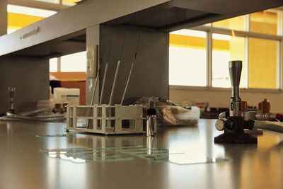 Close-up of an animal on table