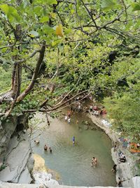 High angle view of people by plants