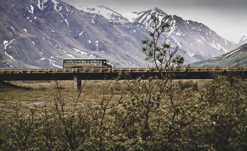 Denali nationalpark in alsaka, united stated.