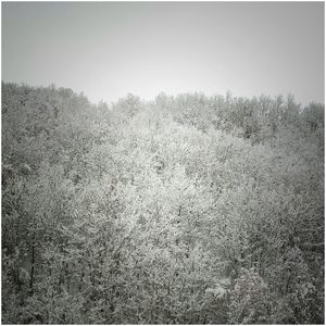 Scenic view of landscape against clear sky