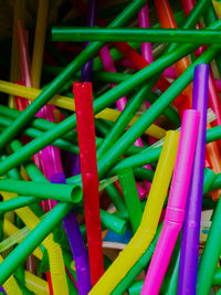 Close-up of multi colored leaves