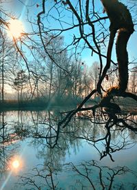 Silhouette bare tree by lake against sky