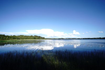 Scenic view of lake against blue sky