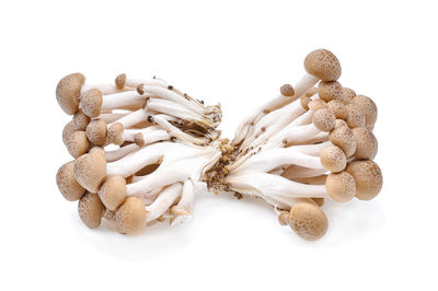 High angle view of bread against white background