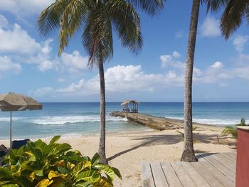 Palm trees on beach against sky