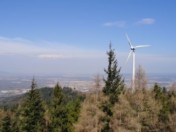 Trees with mountain range in background